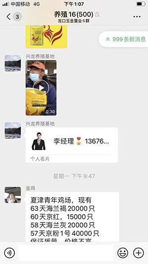 广告重复的微信群案例 广告重复的微信群案例